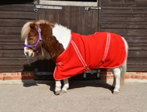 Rhinegold Mini Fleece Rug