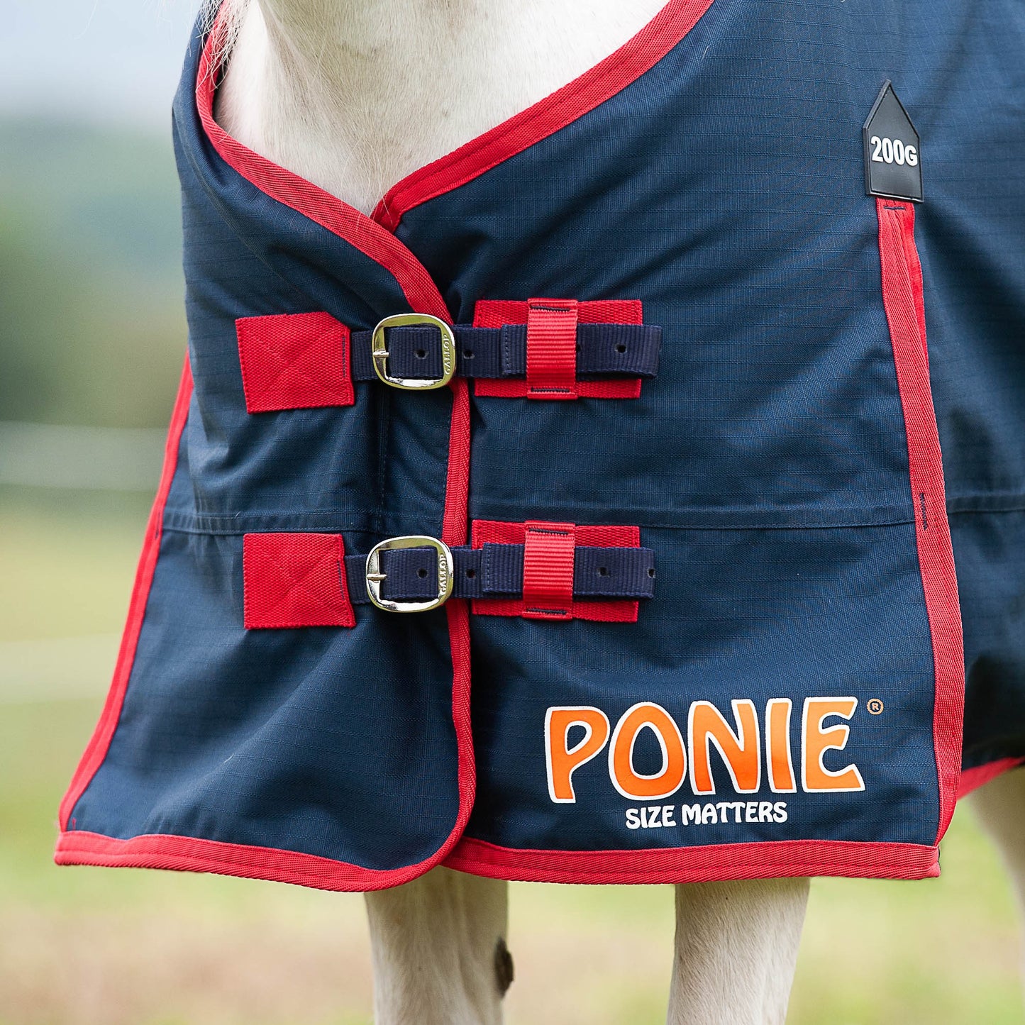 Ponie 200g Standard Turnout Rug