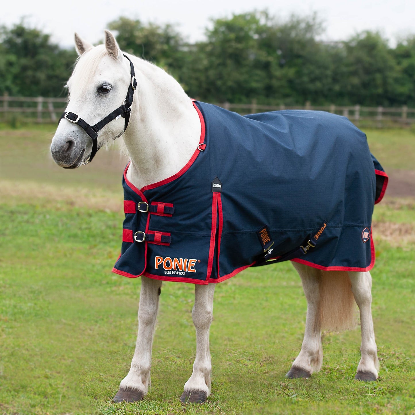 Ponie 200g Standard Turnout Rug
