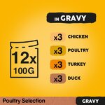 Pedigree Poultry Selection Adult in Gravy Pouches