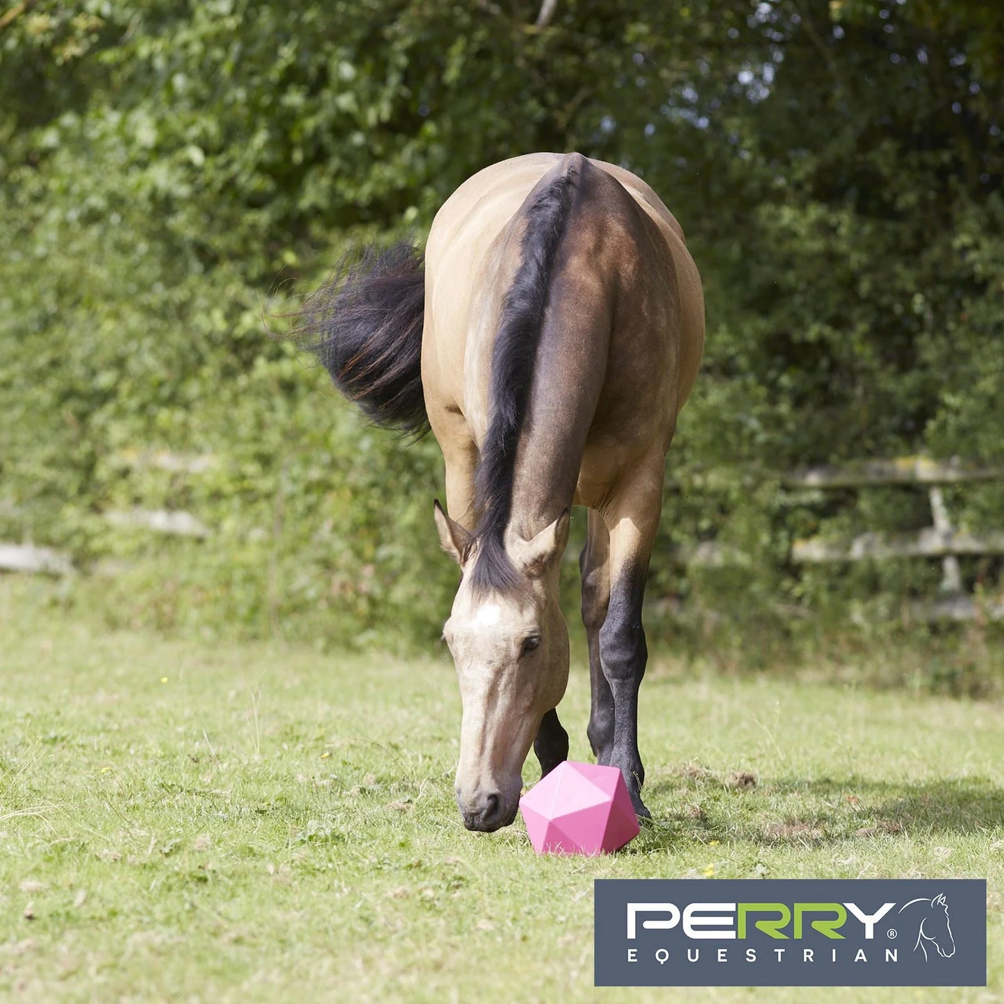 Perry Equestrian One Piece Moulded Feed Ball / Boredom Breaker