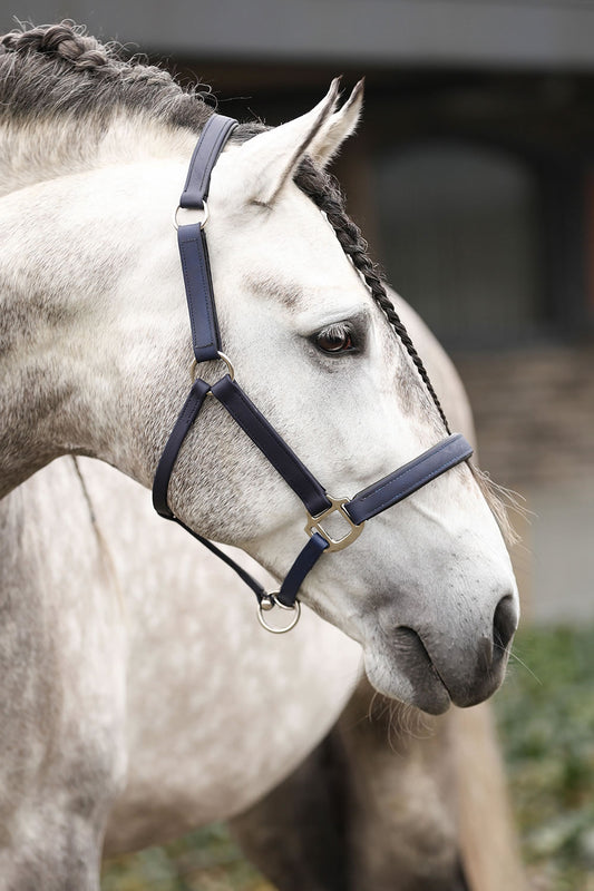 Equilibrium Stellar™ Head Collar Navy