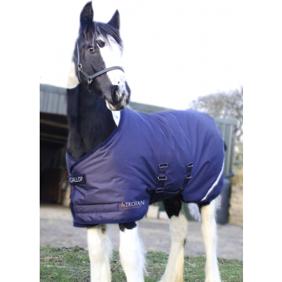 Gallop Trojan 200 Flexi-Foal Turnout Rug