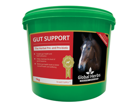 Global Herbs Gut Support