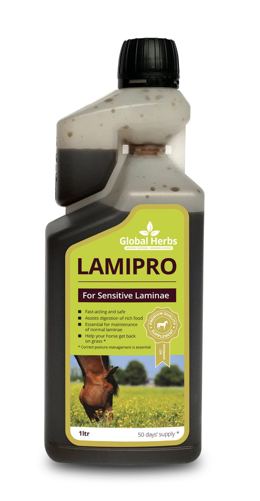 Global Herbs LamiPro Liquid Supplement