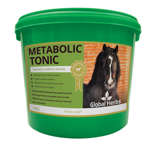 Global Herbs Metabolic Tonic