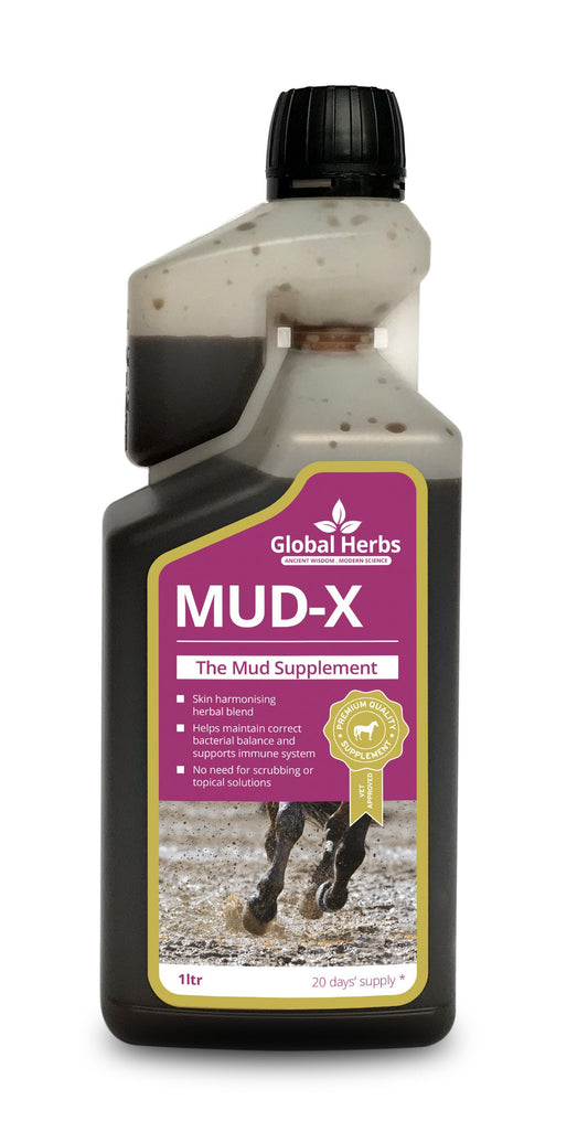 Global Herbs Mud-X Syrup