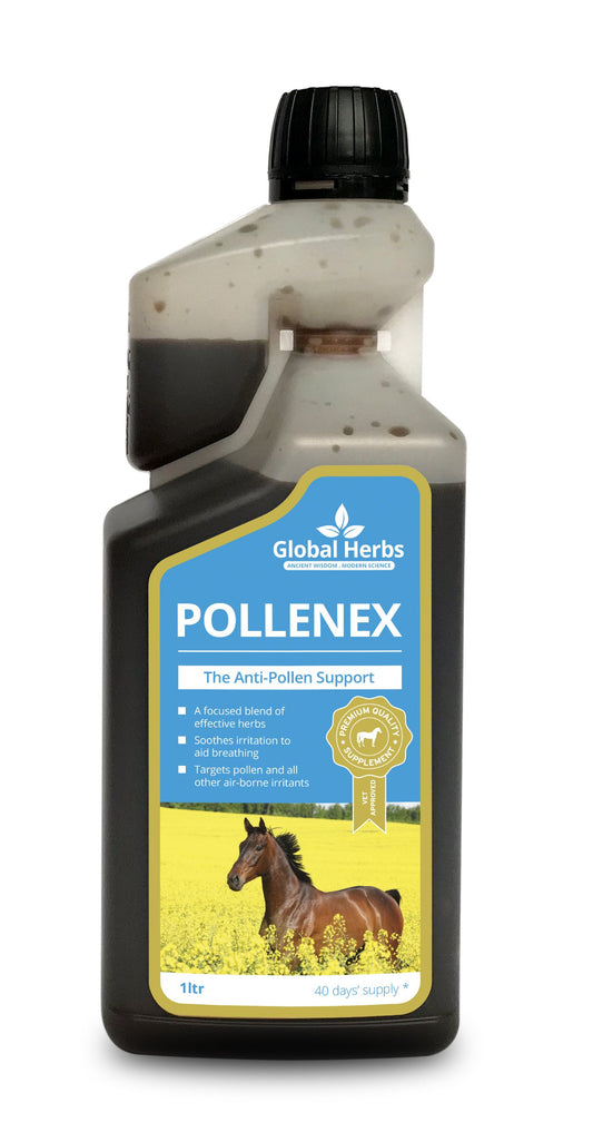 Global Herbs PollenEx Solution