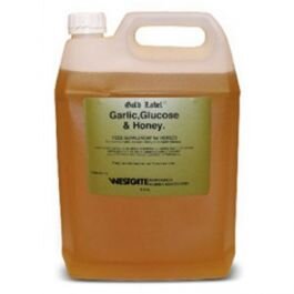 Gold Label Garlic Glucose & Honey