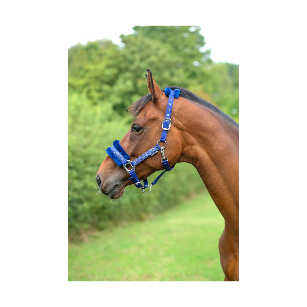 Hy Dazzle Head Collar