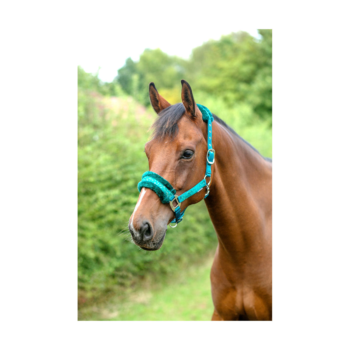 Hy Dazzle Head Collar