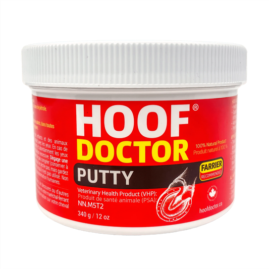 Equine One Hoof Doctor Putty