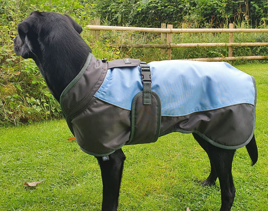 Henry Wag Waterproof Dog Coat