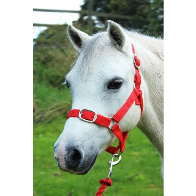 Headcollar & Leadrope Set