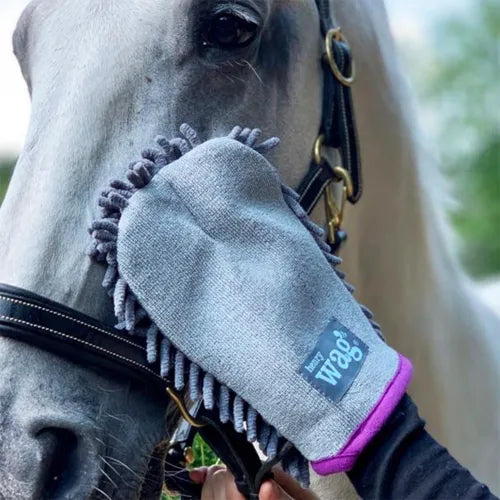 Henry Wag Equine Microfibre Drying Glove