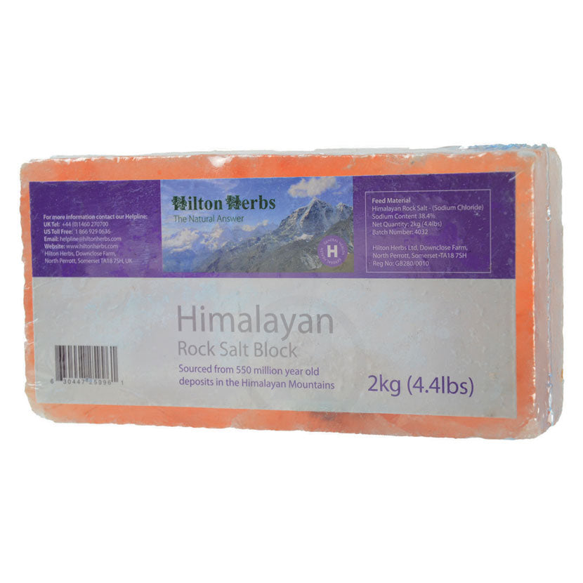 Hilton Herbs Salt Block