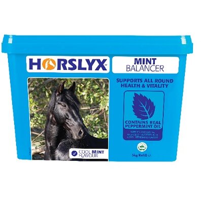 Horslyx Mint Lick