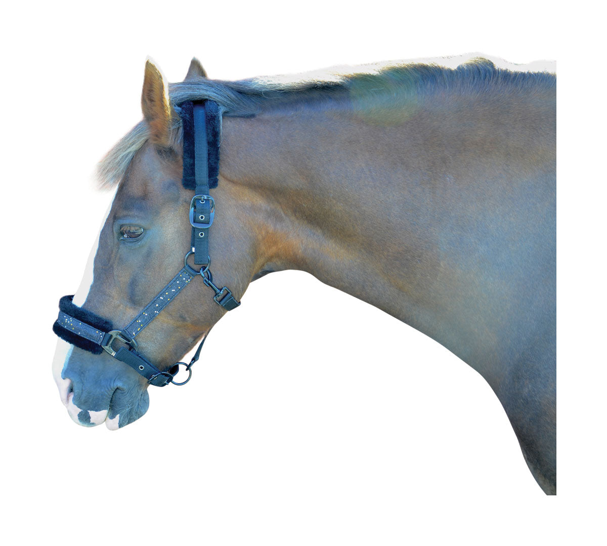 Hy Dazzle Head Collar