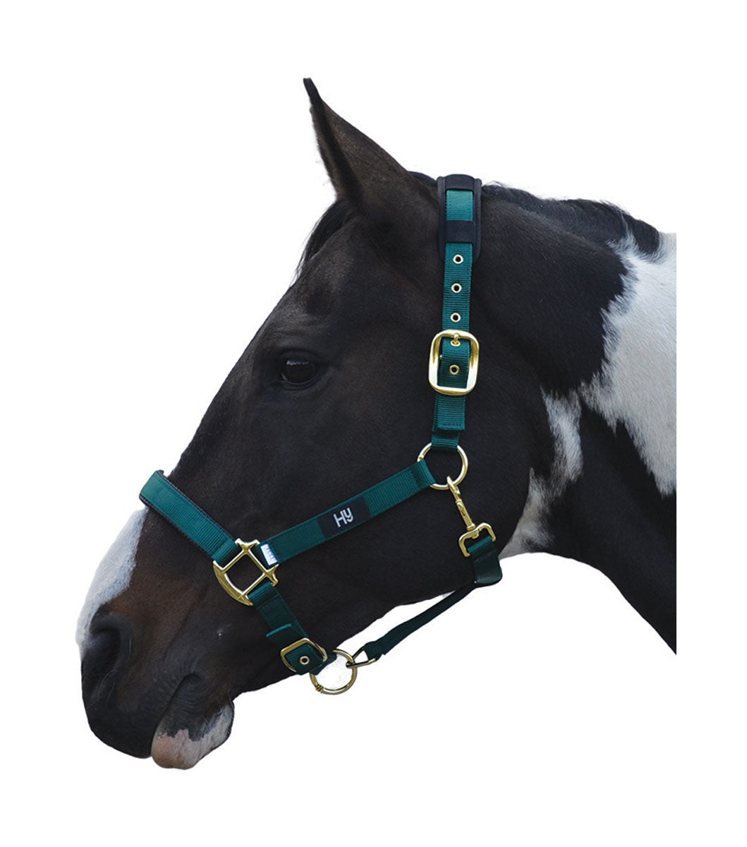 Hy Equestrian Deluxe Padded Head Collar