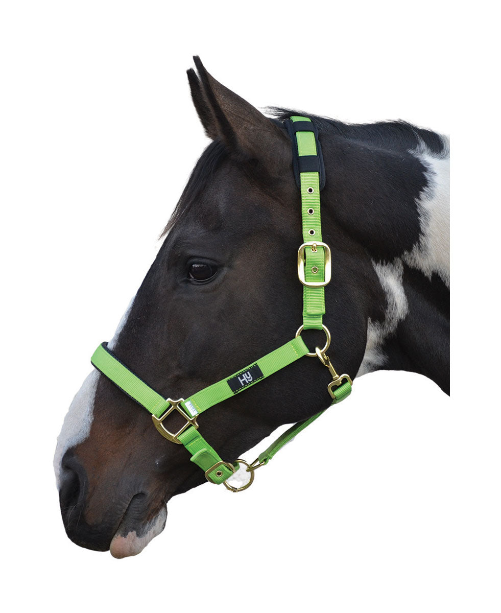 Hy Equestrian Deluxe Padded Head Collar