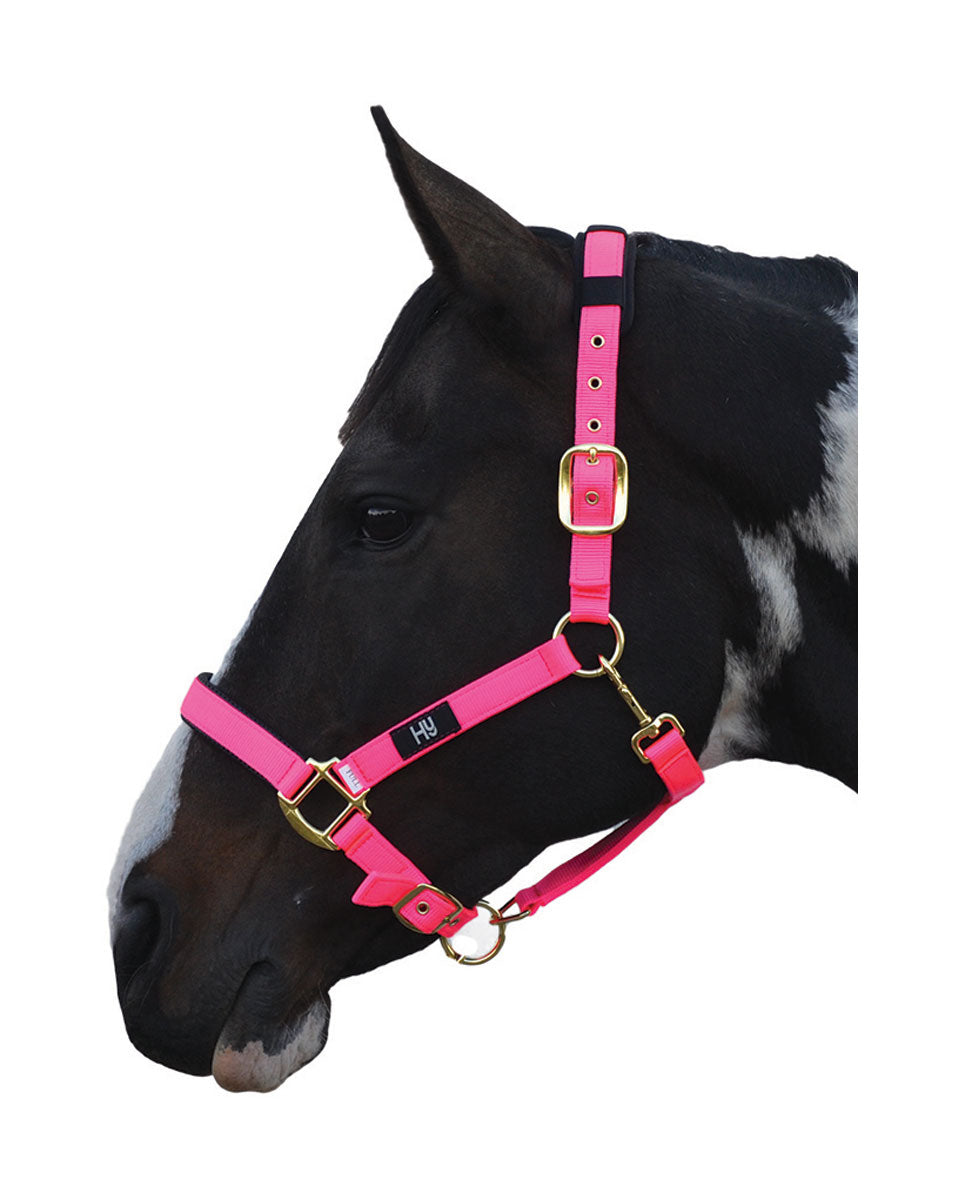 Hy Equestrian Deluxe Padded Head Collar