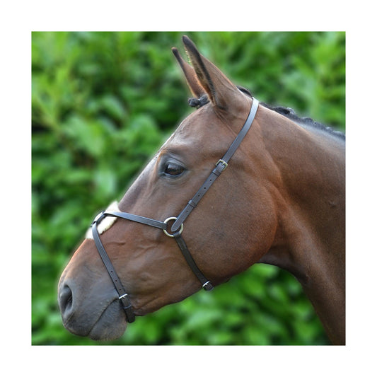 Hy Equestrian Mexican Grackle Nose Band