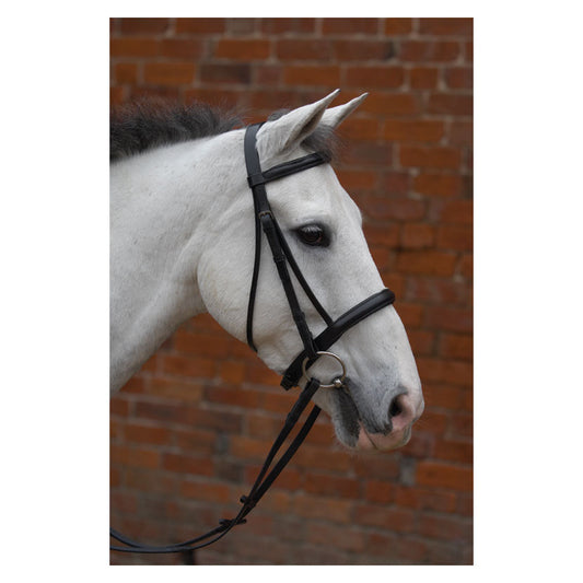 Hy Equestrian Padded Cavesson Bridle with Rubber Grip Reins