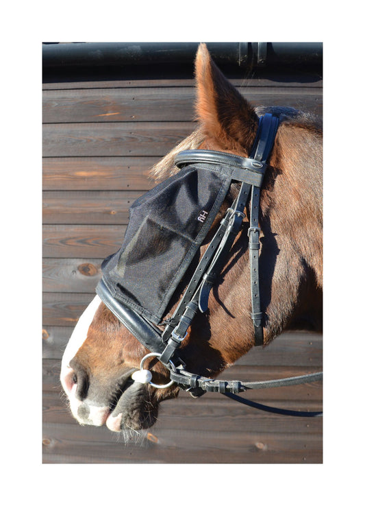 Hy Equestrian Riding Fly Mask