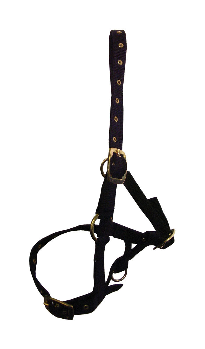 Hy Equestrian Foal Head Collar