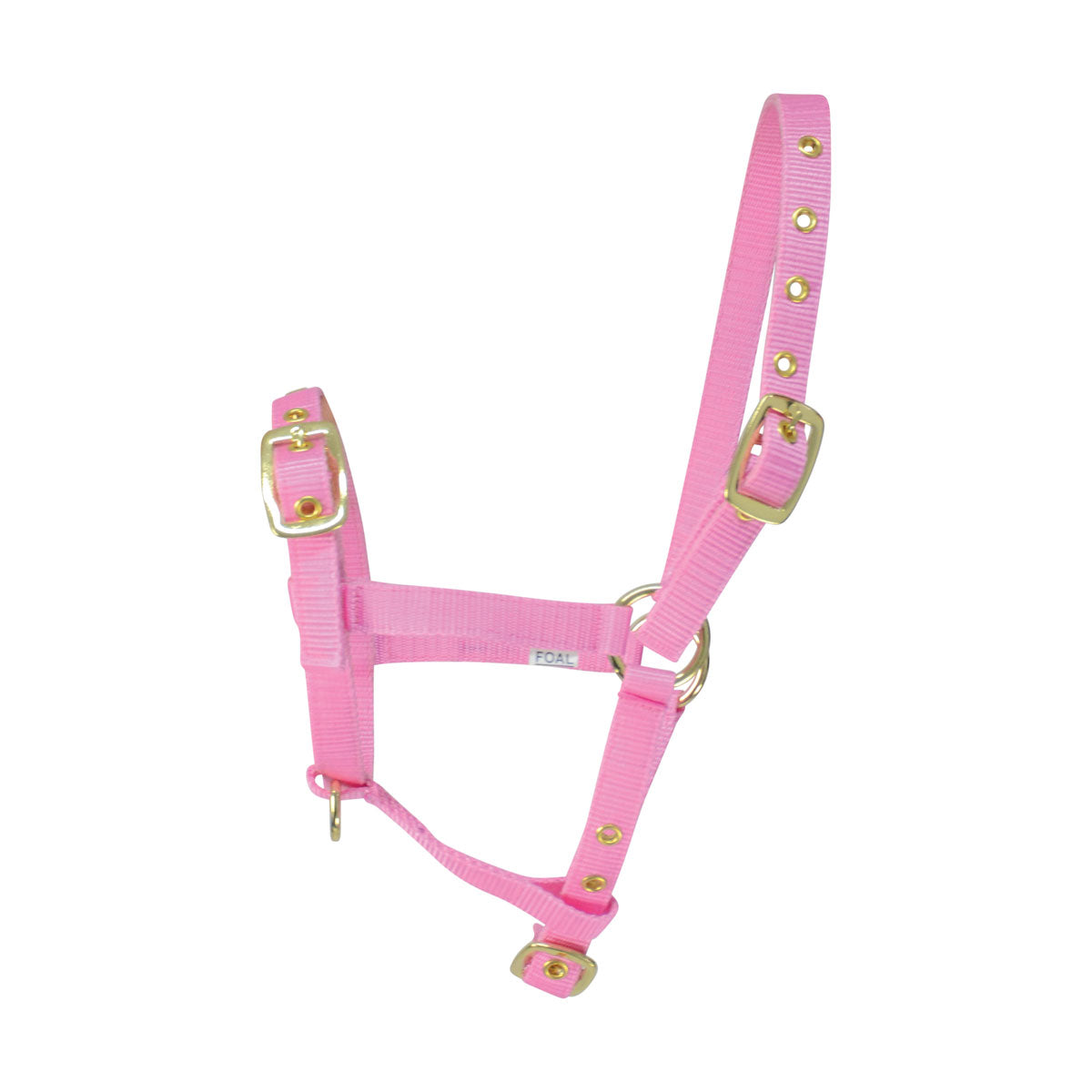 Hy Equestrian Foal Head Collar