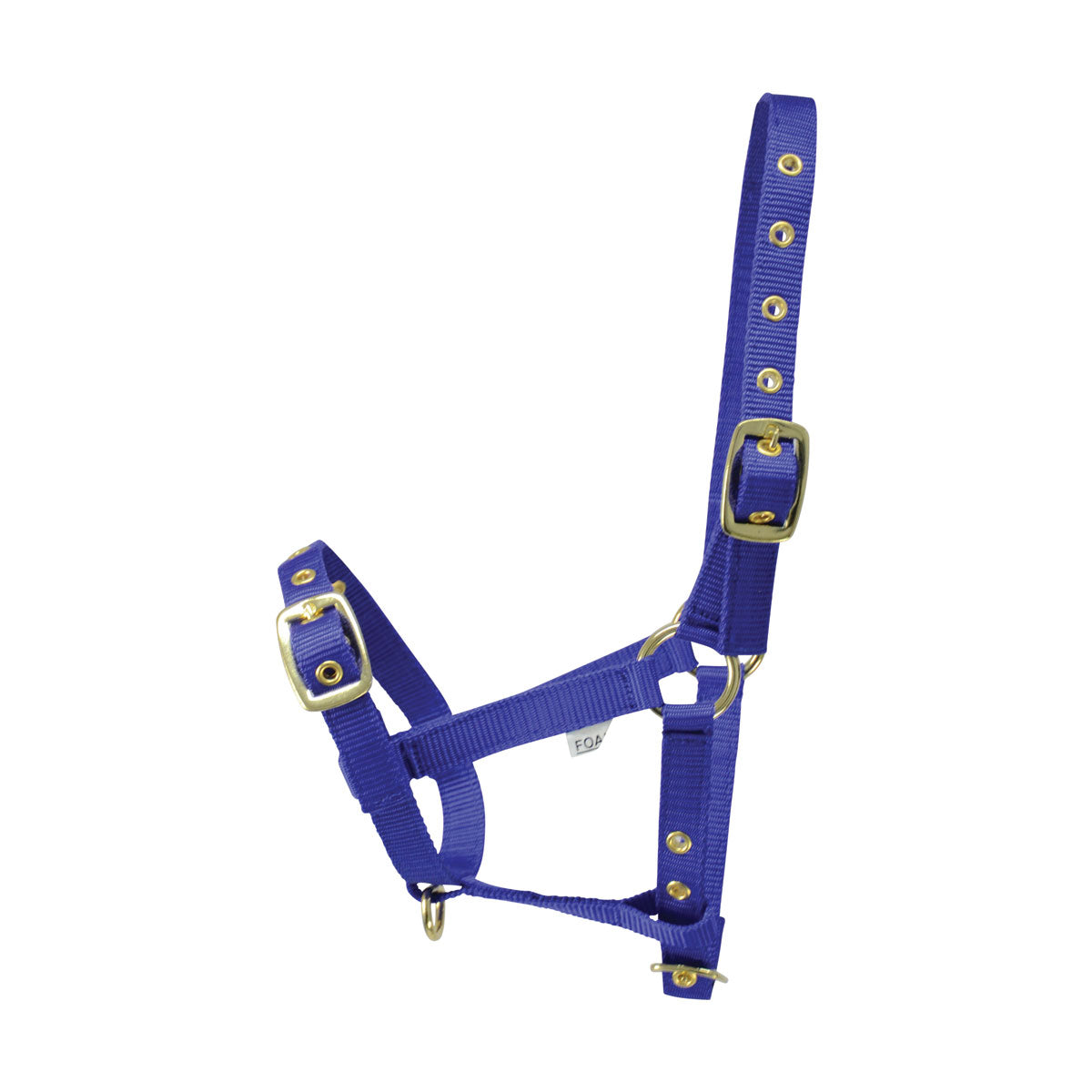 Hy Equestrian Foal Head Collar