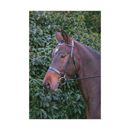Hy Equestrian Hunter Bridle with Rubber Grip Reins