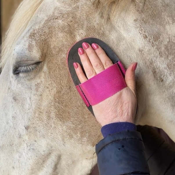 Super Groomer - Deluxe Edition