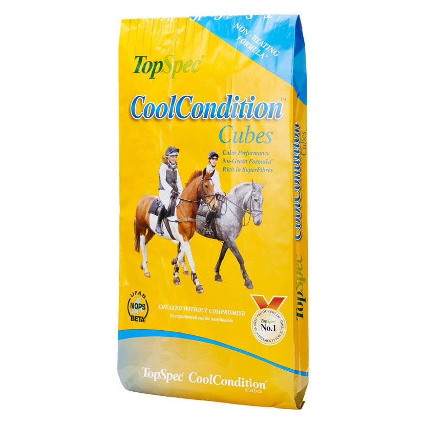 TopSpec Cool Condition Cubes
