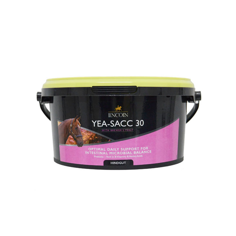 Lincoln Yea-Sacc 30