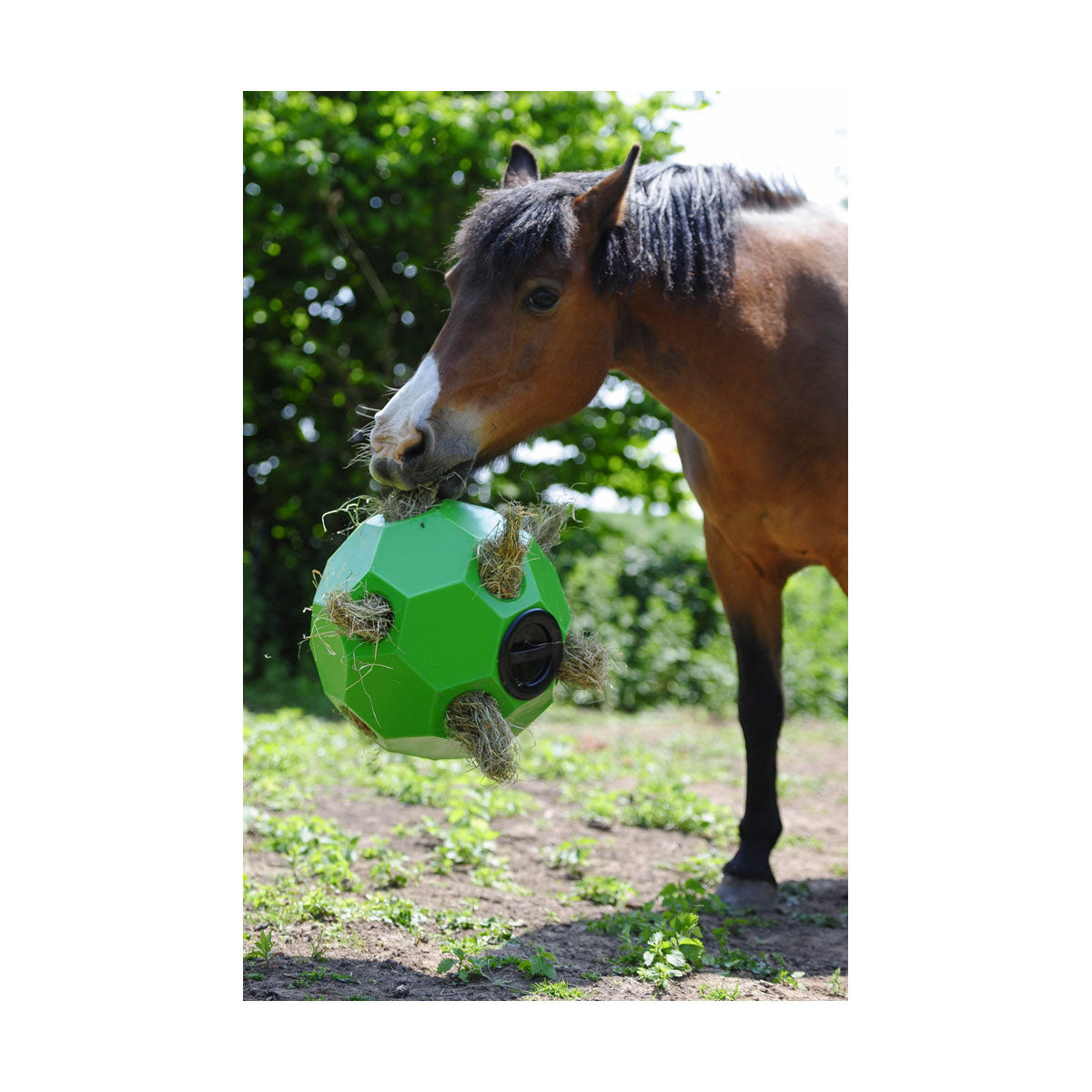 Parallax Hay Play