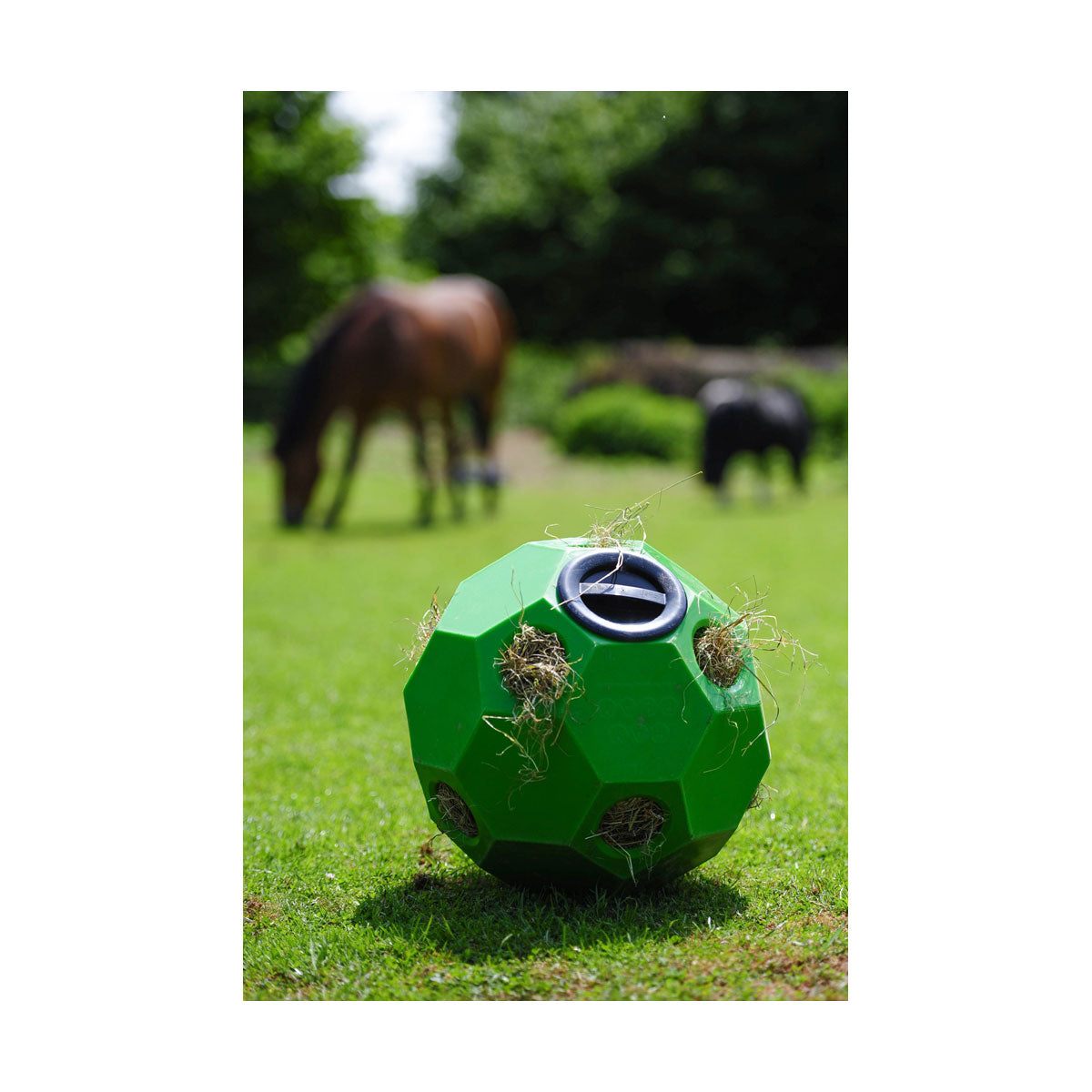 Parallax Hay Play