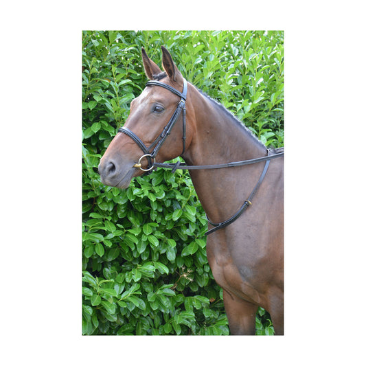 Hy Equestrian Leather Neck Strap