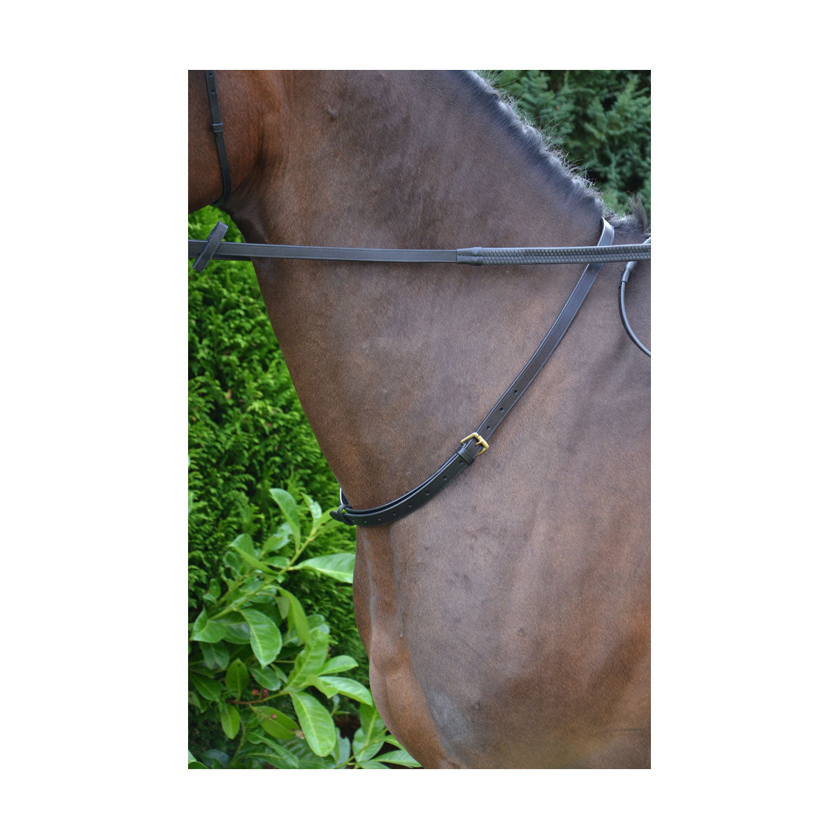 Hy Equestrian Leather Neck Strap