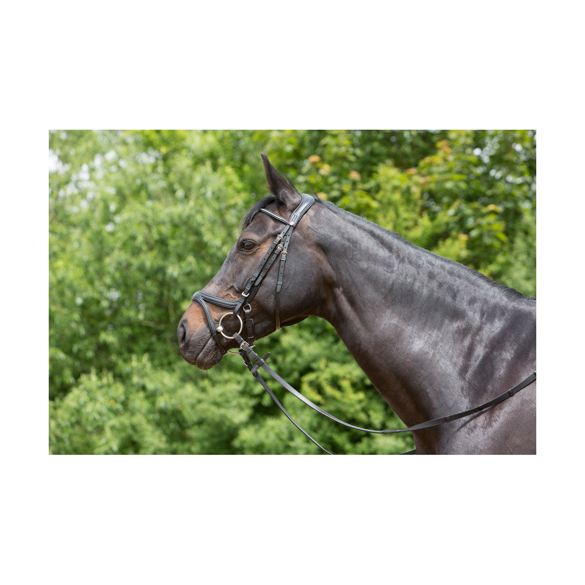 Kieffer Ultrasoft Tara Bridle