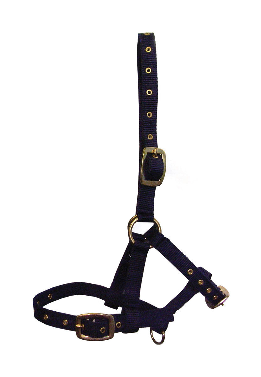 Hy Equestrian Foal Head Collar