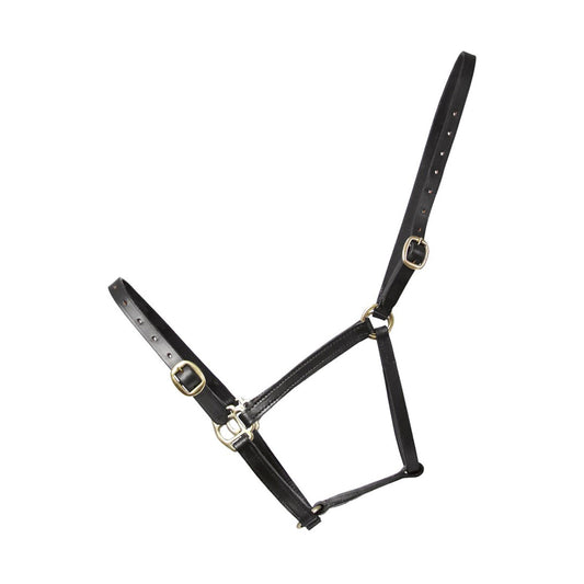 Hy Equestrian Leather Foal Head Collar