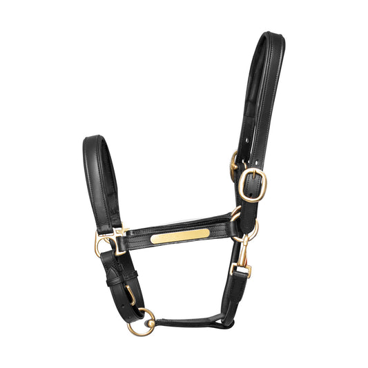 Hy Equestrian Leather Head Collar