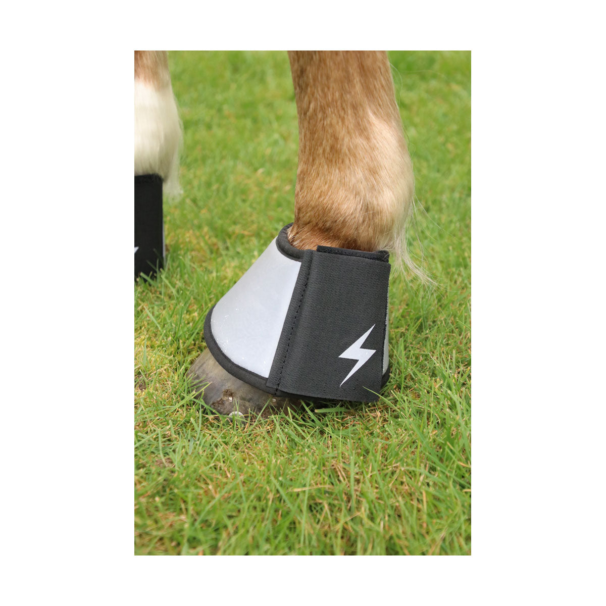 Silva Flash Over Reach Boots by Hy Equestrian