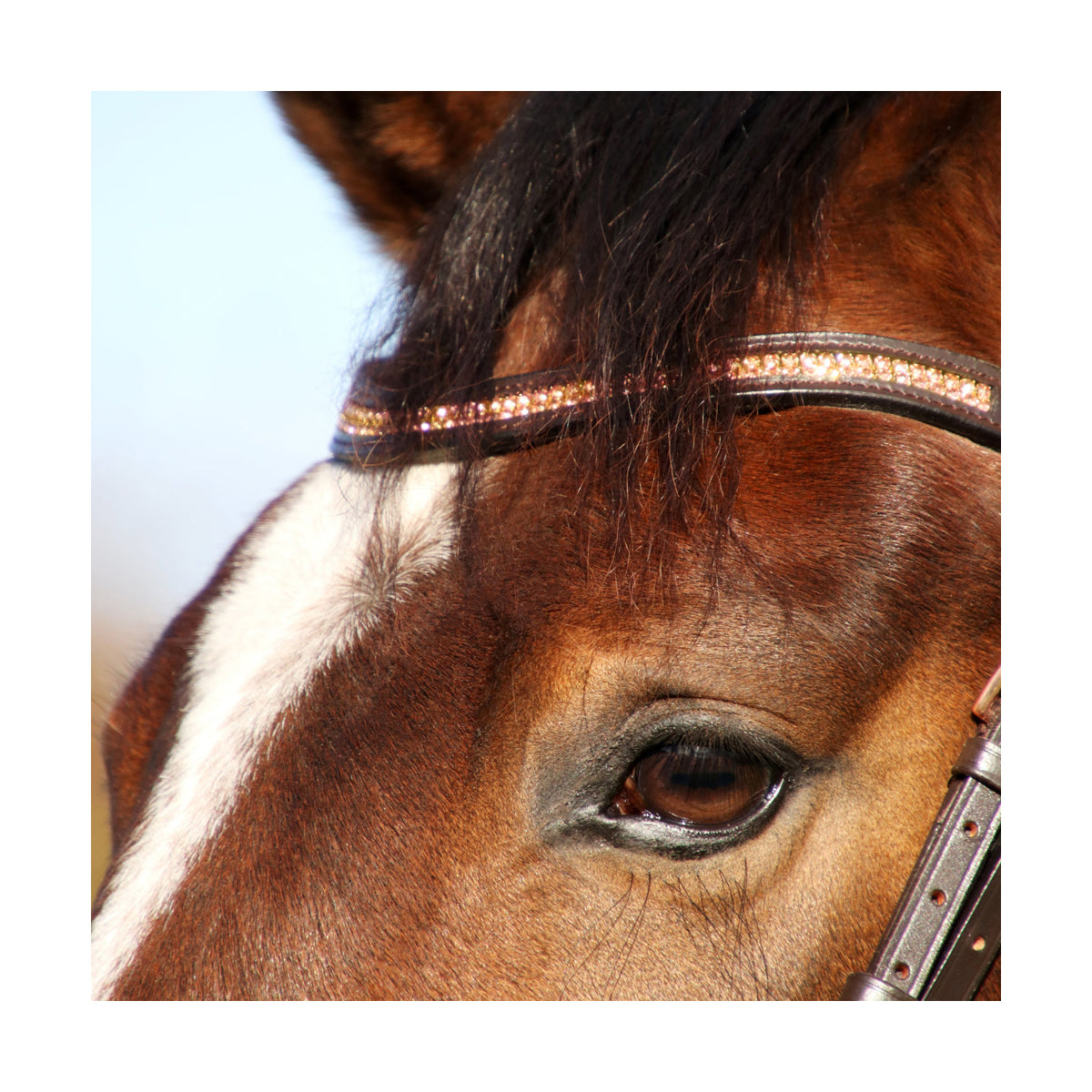 Hy Equestrian Rosciano Rose Gold Brow Band