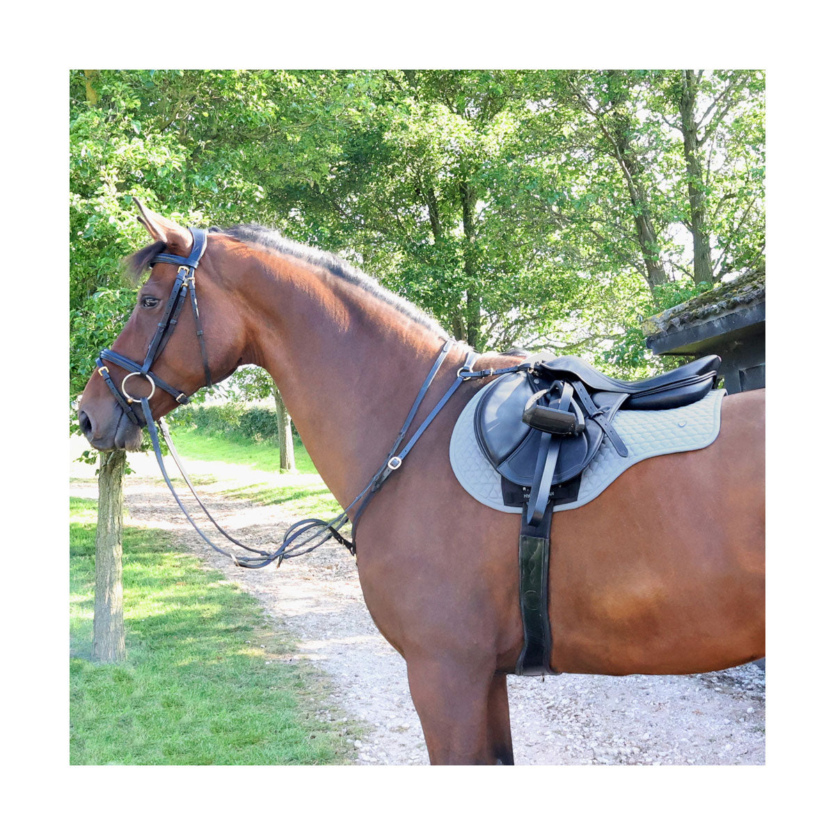 Hy Equestrian Pro Reaction Close Contact Saddle Pad
