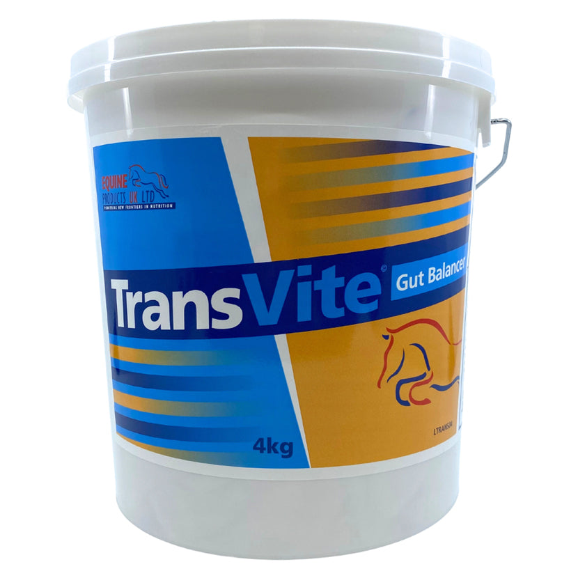 Transvite Gut Balancer