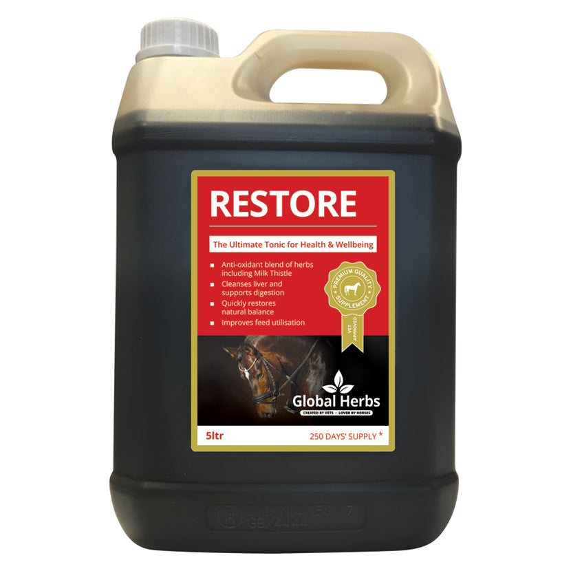 Global Herbs Restore Liquid