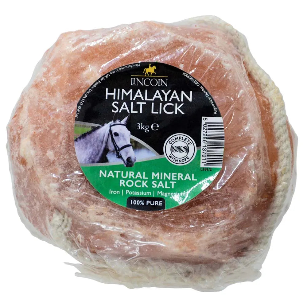 Lincoln Himalayan Salt Lick