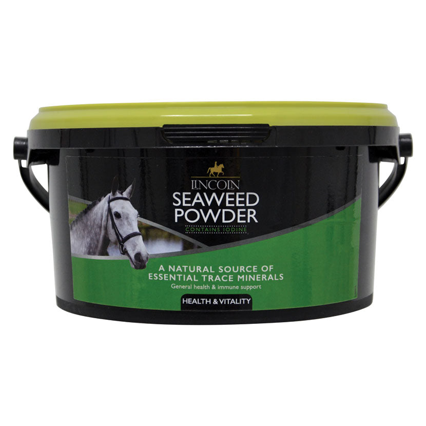 Lincoln Seaweed Powder